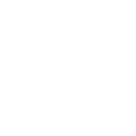 LucidView Enforcer