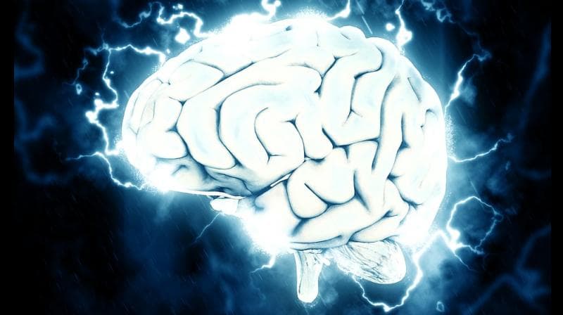 Pornography and the Young Brain
